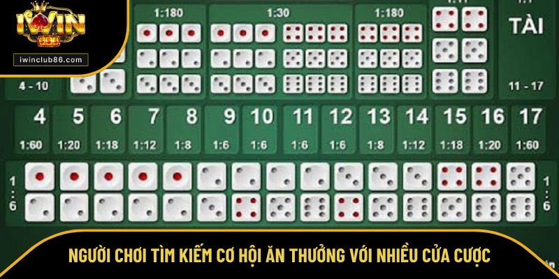 Tài Xỉu Người chơi tìm kiếm cơ hội ăn thưởng với nhiều cửa cược