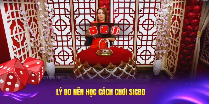 Hướng dẫn chơi Sic Bo Tài Xỉu tại IWIN dễ hiểu cho người mới Các loại cược phổ biến trong sic bo và cách chơi